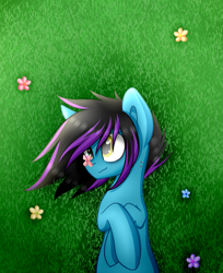 Size: 2885x3534 | Tagged: safe, artist:despotshy, oc, oc only, oc:despy, butterfly, pony, female, flower, grass, high res, mare, on back, solo