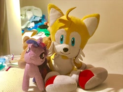 Size: 4032x3024 | Tagged: safe, artist:fiddlerchipmunk, derpibooru import, twilight sparkle, crossover, miles "tails" prower, plushie, shipping, sonic the hedgehog (series), tailslight