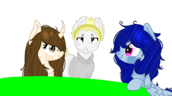 Size: 1100x618 | Tagged: safe, artist:m-ikochan, oc, oc only, oc:akira, oc:bia, oc:kemi, earth pony, pegasus, pony, unicorn, cloth, simple background, transparent background