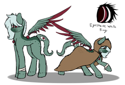 Size: 1024x701 | Tagged: safe, artist:fizzy2014, oc, oc only, oc:thiver, pegasus, pony, cloak, clothes, female, floating wings, mare, reference sheet, simple background, solo, transparent background