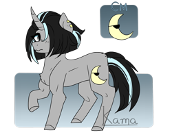 Size: 2000x1600 | Tagged: safe, artist:skimea, oc, oc only, oc:sammy, pony, unicorn, female, hair over one eye, mare, raised hoof, reference sheet, solo