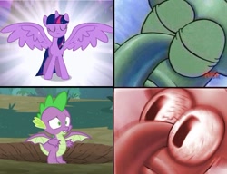 Size: 672x515 | Tagged: safe, derpibooru import, edit, edited edit, spike, twilight sparkle, twilight sparkle (alicorn), alicorn, dragon, pony, magical mystery cure, molt down, season 3, season 8, angry, female, home sweet pineapple, i sleep, male, mare, meme, spongebob squarepants, spread wings, squidward closed eyes & open eyes, squidward tentacles, winged spike, wings