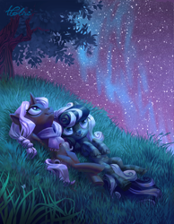 Size: 1024x1317 | Tagged: safe, artist:holivi, derpibooru import, oc, oc only, earth pony, pony, unicorn, clothes, commission, digital art, female, grass, lying down, mare, night, scarf, stars, tree, unshorn fetlocks