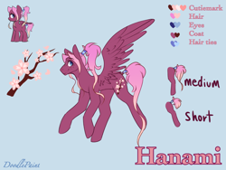 Size: 1024x768 | Tagged: safe, artist:doodlepaintdraws, derpibooru import, oc, oc:hanami, pegasus, pony, female, mare, reference sheet, solo