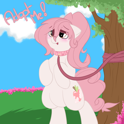 Size: 3000x3000 | Tagged: safe, artist:saralien, oc, oc only, oc:miwako, earth pony, pony, blushing, collar, cute, female, solo