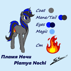 Size: 4000x4000 | Tagged: safe, artist:speed-chaser, oc, oc only, oc:plamya nochi, pony, unicorn, reference sheet, solo