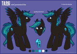 Size: 3035x2149 | Tagged: safe, artist:theoutcastofthenight, oc, oc only, oc:tashi, pony, commission, reference sheet