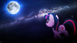 Size: 1920x1080 | Tagged: safe, artist:dashiesparkle, artist:drakesparkle44, twilight sparkle, full moon, grass, milky way galaxy, moon, night, solo, starfield, vector, wallpaper