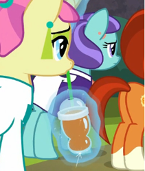 Size: 272x322 | Tagged: safe, derpibooru import, screencap, carbon fizz, mixed berry, stellar flare, earth pony, pony, unicorn, the parent map, background pony, clothes, cropped, cutie mark, dress, ear piercing, earring, female, jewelry, piercing, plot, smoothie