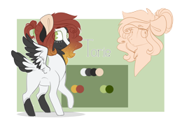 Size: 4322x3100 | Tagged: safe, artist:k-indle, derpibooru import, oc, oc only, oc:torie, pegasus, pony, augmented tail, colt, male, reference sheet, simple background, solo, tail feathers, transparent background