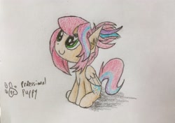 Size: 3471x2449 | Tagged: safe, artist:professionalpuppy, oc, oc only, oc:sweet skies, pegasus, pony, c:, cute, looking up, sitting, smiling, solo, traditional art