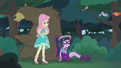 Size: 2208x1242 | Tagged: safe, derpibooru import, screencap, constance, fluttershy, harry, sci-twi, twilight sparkle, bear, bird, butterfly, better together, equestria girls, stressed in show, stressed in show: fluttershy, boots, bowtie, chickadee (bird), clothes, cute, dress, eyes closed, floral head wreath, flower, geode of telekinesis, glasses, magical geodes, mud, muddy, ponytail, shoes, shyabetes, skirt, sleeping, songbird, tree, twiabetes, woodpecker