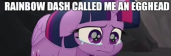 Size: 1905x635 | Tagged: safe, derpibooru import, edit, edited screencap, screencap, twilight sparkle, twilight sparkle (alicorn), alicorn, my little pony: the movie, abuse, crying, egghead, sad, solo, teary eyes, twilybuse