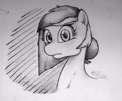 Size: 2715x2261 | Tagged: safe, artist:potatobug, derpibooru exclusive, oc, oc only, oc:lucky joey, pony, alternate hairstyle, looking at you, traditional art