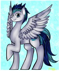 Size: 1000x1200 | Tagged: artist needed, safe, derpibooru import, oc, oc only, oc:bloodray, pegasus, pony, male, solo