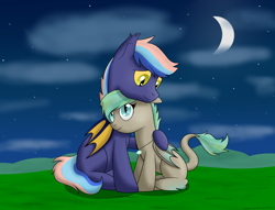 Size: 2602x1986 | Tagged: safe, artist:cloudy95, oc, oc only, oc:echo melody, oc:kiirus, bat pony, pony, female, male, mare, night, sitting, stallion