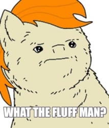 Size: 341x400 | Tagged: safe, artist:pizzamovies, oc, oc only, oc:pizzamovies, fluffy pony, pony, image macro, male, meme, solo, stallion, what the fuck man