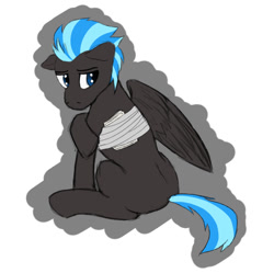 Size: 854x849 | Tagged: safe, artist:wcnimbus, oc, oc only, oc:nimbus, pegasus, pony, amputee, bandage, colored sketch, male, missing limb, missing wing, sad, solo, stallion, stump