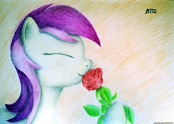 Size: 2789x2000 | Tagged: safe, artist:ponystarpony, roseluck, flower, rose, solo, traditional art