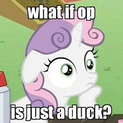 Size: 500x500 | Tagged: safe, edit, edited screencap, screencap, sweetie belle, pony, unicorn, ponyville confidential, exploitable meme, female, filly, horn, image macro, meme, op is a cuck, reaction image, solo, sudden clarity sweetie belle, text, two toned mane, white coat, wide eyes