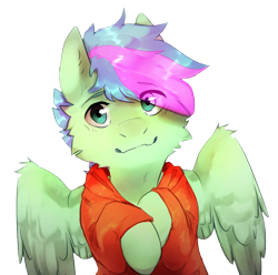 Size: 856x850 | Tagged: safe, artist:suplolnope, derpibooru import, oc, oc only, oc:gusty breeze, pegasus, pony, clothes, cute, fluffy, looking at you, male, raised hoof, simple background, solo, spread wings, stallion, transparent background, wings