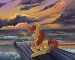 Size: 2000x1600 | Tagged: safe, artist:xjenn9, derpibooru import, oc, oc only, oc:amber rose, earth pony, pony, cloud, ocean, scenery, signature, smiling, solo, storm