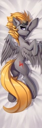 Size: 427x1280 | Tagged: safe, artist:baramx, derpibooru import, oc, oc only, oc:aj, pegasus, pony, body pillow, body pillow design, butt, goggles, male, plot, solo, stallion