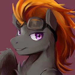 Size: 2480x2480 | Tagged: safe, derpibooru import, oc, oc:aj, pegasus, pony, bust, goggles, male, solo, stallion