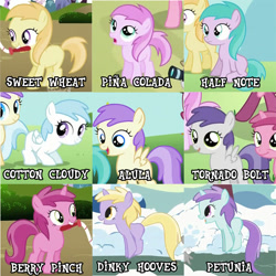 Size: 753x753 | Tagged: safe, edit, edited screencap, screencap, alula, aura (character), cotton cloudy, dinky hooves, liza doolots, noi, petunia, piña colada, ruby pinch, tootsie flute, tornado bolt, earth pony, pegasus, pony, unicorn, call of the cutie, lesson zero, the cutie pox, the mysterious mare do well, winter wrap up, artifact, background pony, background pony chart, collage, cropped, female, filly, foal, old names, piña cutelada