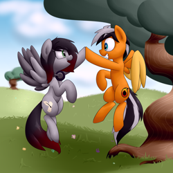 Size: 1280x1280 | Tagged: safe, artist:victoreach, oc, oc only, oc:onyx penstroke, oc:renard prower, pony, cloud, cloudy, colored wings, colored wingtips, commission, duo, excited, eye contact, floating, flying, friendship, happy, headphones, hill, hoofbump, looking at each other, multicolored hair, multicolored tail, multicolored wings, open mouth, raised hoof, smiling, spread wings, wings