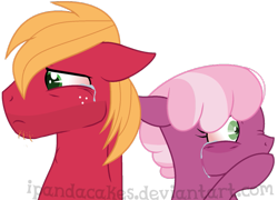 Size: 869x625 | Tagged: safe, artist:ipandacakes, big macintosh, cheerilee, pony, cheerimac, crying, female, male, shipping, simple background, straight, transparent background