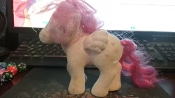 Size: 2048x1152 | Tagged: safe, derpibooru import, heart throb, pegasus, pony, g1, 1980's, so soft, solo, toy