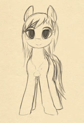 Size: 725x1063 | Tagged: safe, artist:lunebat, pony, female, filly, monochrome, sketch, smiling, solo