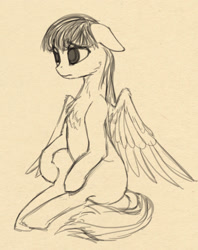 Size: 910x1148 | Tagged: safe, artist:lunebat, pegasus, pony, chest fluff, female, mare, monochrome, sad, sitting, sketch, solo, wings