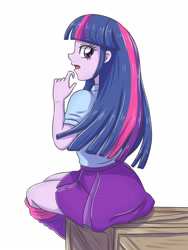 Size: 2728x3637 | Tagged: safe, artist:sumin6301, derpibooru import, twilight sparkle, equestria girls, clothes, female, leg warmers, looking at you, looking back, looking back at you, pleated skirt, sitting, skirt, solo