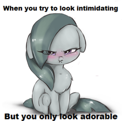 Size: 1593x1578 | Tagged: safe, artist:buttersprinkle, edit, marble pie, earth pony, pony, adorable face, blushing, chest fluff, cute, looking at you, marblebetes, meme, pouting, scrunchy face, simple background, solo, text, text edit, white background