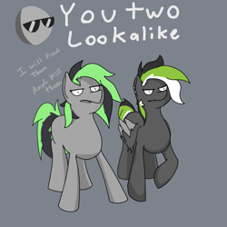 Size: 1001x1001 | Tagged: safe, derpibooru import, oc, oc:graphite sketch, earth pony, pegasus, pony, female, lookalikes, mare