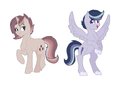 Size: 1303x885 | Tagged: safe, artist:sparkledashyt, derpibooru import, oc, oc only, oc:midnight, oc:sky star, pegasus, pony, unicorn, female, male, mare, offspring's offspring, parent:oc:sparkle dash, parent:oc:sunlight, simple background, stallion, transparent background