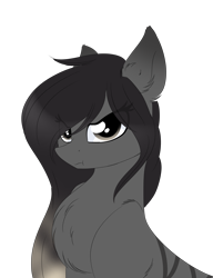 Size: 1913x2494 | Tagged: safe, artist:little-sketches, oc, oc only, oc:pineapple, earth pony, pony, chest fluff, female, mare, simple background, solo, transparent background