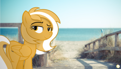 Size: 4588x2600 | Tagged: safe, artist:potato22, derpibooru import, oc, oc only, oc:mareota, irl, looking at you, photo, ponies in real life, solo