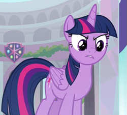 Size: 585x530 | Tagged: safe, derpibooru import, screencap, twilight sparkle, twilight sparkle (alicorn), alicorn, marks for effort, angry, cropped, female, solo