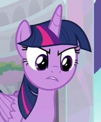 Size: 329x399 | Tagged: safe, derpibooru import, screencap, twilight sparkle, twilight sparkle (alicorn), alicorn, marks for effort, angry, cropped, female, solo