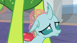 Size: 1280x720 | Tagged: safe, derpibooru import, screencap, ocellus, thorax, changedling, changeling, nymph, school daze, cute, diaocelles, female, floppy ears, frown, king thorax, lidded eyes, looking up, male, sad, sadorable, scared, school of friendship, shy, size difference, solo focus