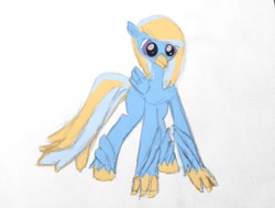 Size: 846x640 | Tagged: safe, artist:stormfalldrizzle, derpibooru import, oc, oc only, oc:sylvia hippogriff, classical hippogriff, hippogriff, cute, female, mixed media, solo