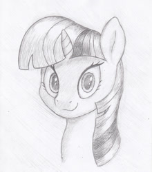 Size: 730x829 | Tagged: safe, artist:stink111, twilight sparkle, pony, bust, monochrome, portrait, solo, traditional art