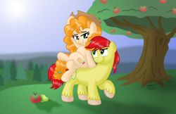 Size: 2000x1294 | Tagged: safe, artist:aleximusprime, derpibooru import, bright mac, pear butter, earth pony, pony, the perfect pear, apple, apple tree, brightbutter, cowboy hat, cute, female, food, freckles, hat, male, mare, pear, shipping, smiling, stetson, straight, tree