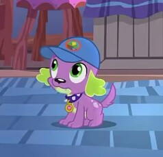 Size: 238x229 | Tagged: safe, screencap, spike, spike the regular dog, dog, equestria girls, legend of everfree, cap, hat, looking up, solo