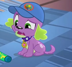 Size: 515x480 | Tagged: safe, screencap, spike, spike the regular dog, dog, equestria girls, legend of everfree, cap, hat, looking down, solo, sunscreen