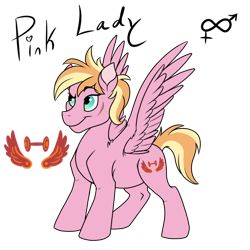 Size: 800x800 | Tagged: safe, artist:pampoke, derpibooru import, oc, oc only, oc:pink lady, pegasus, pony, female, mare, offspring, parent:big macintosh, parent:fluttershy, parents:fluttermac, simple background, solo, transparent background