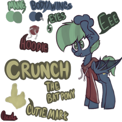 Size: 3000x3000 | Tagged: safe, artist:claudearts, derpibooru import, oc, oc only, oc:crunch, bat pony, clothes, cutie mark, eeee, hoodie, reference sheet, signature, simple background, solo, transparent background, transparent wings